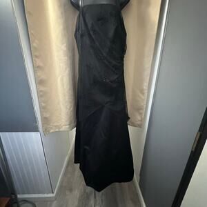 Onyx Nite vintage feel butterfly dress size 16